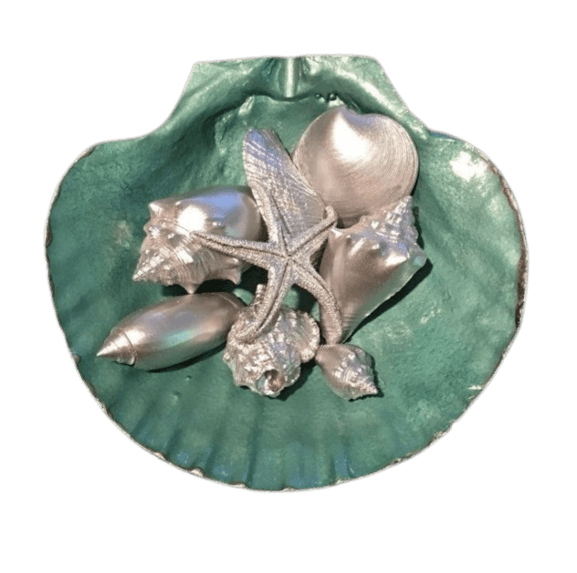 Seashell